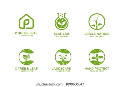 Logo de la naturaleza verde de las hojas del vector y conjunto de símbolos de seis