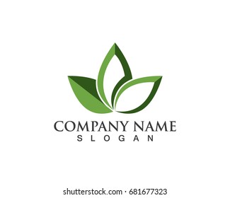 Vector leaves green nature logo and symbol