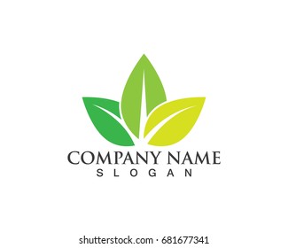 Vector leaves green nature logo and symbol