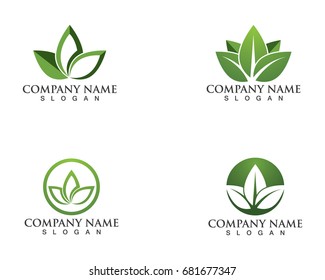 Vector leaves green nature logo and symbol