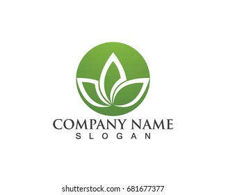 Vector leaves green nature logo and symbol