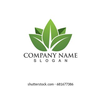 Vector leaves green nature logo and symbol