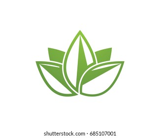 Vector leaves green nature logo and symbol