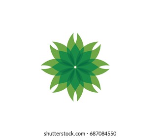 Vector leaves green nature logo and symbol