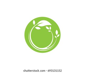 Vector leaves green nature logo and symbol