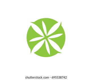 Vector leaves green nature logo and symbol