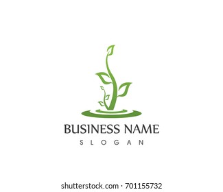 Vector leaves green nature logo and symbol