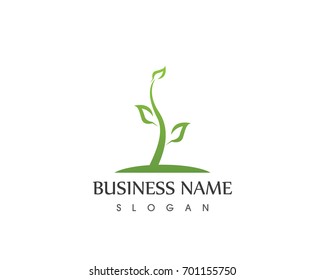 Vector leaves green nature logo and symbol