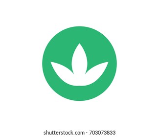 Vector leaves green nature logo and symbol