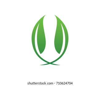 Vector leaves green nature logo and symbol