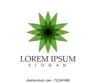 Vector leaves green nature logo and symbol