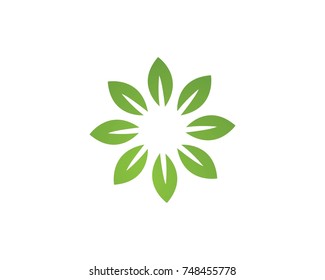 Vector leaves green nature logo and symbol