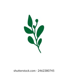 Vector leaves. Hand drawn herb elements. Vintage botanical illustrations.