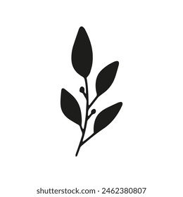 Vector leaves. Hand drawn herb elements. Vintage botanical illustrations.