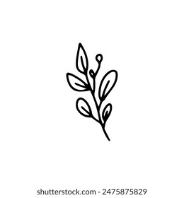Vector leaves. Hand drawn herb elements. Vintage botanical illustrations.