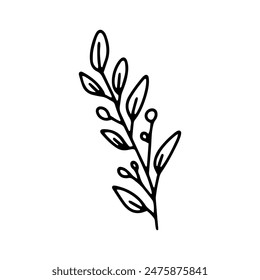 Vector leaves. Hand drawn herb elements. Vintage botanical illustrations.