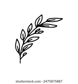 Vector leaves. Hand drawn herb elements. Vintage botanical illustrations.