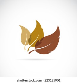 Vector leaves icon on white background