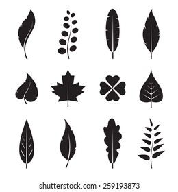 Vector leaves icon set on white background