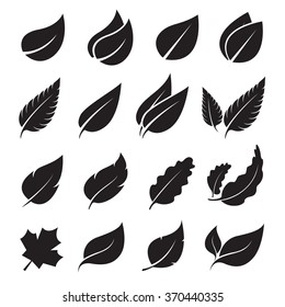 Vector leaves icon set on white background, Vector Leaves for your design