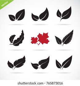 Vector of a leaves icon set on white background. 
