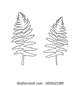 Vector leaves isolated black. Realistic hand drawn leaves illustration set on white background.