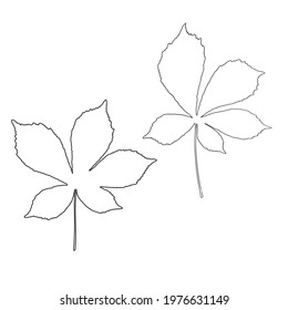 Vector leaves isolated black. Realistic hand drawn leaves illustration set on white background.