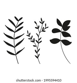 Vector leaves isolated black. Realistic hand drawn leaves illustration set on white background.