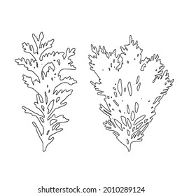 Vector leaves isolated black. Realistic hand drawn leaves illustration set on white background.