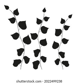 Vector leaves isolated black. Realistic hand drawn leaves illustration set on white background.