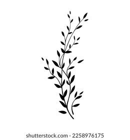 Vektorblätter einzeln auf weißem Hintergrund. Dekorative botanische Elemente für Grußkarten, Hochzeitseinladungen, Logo, Schreibwaren, Textilien
