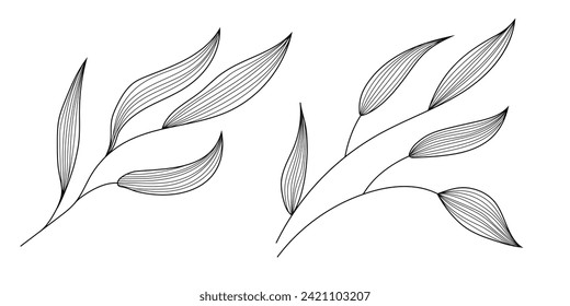 Vector leaves isolated on a white background, minimalist design, black and white