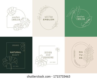 Vector leaves logo design. Nature logo design in linear style, monogram template concept - floral frame with copy space for text, date - emblem for fashion, spa. Linear badge design.