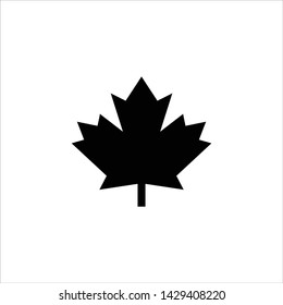 Vector leaves of maple trees, a symbol of Canada country and nature. Vector logo template