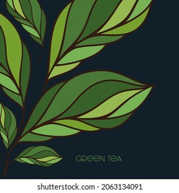 Hojas vectoriales para el diseño del logotipo de té verde natural.