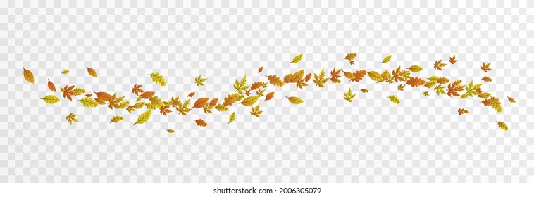 Vector leaves on isolated transparent background. The wind blows off the leaves, the wind blows. Autumn. Leaves png.