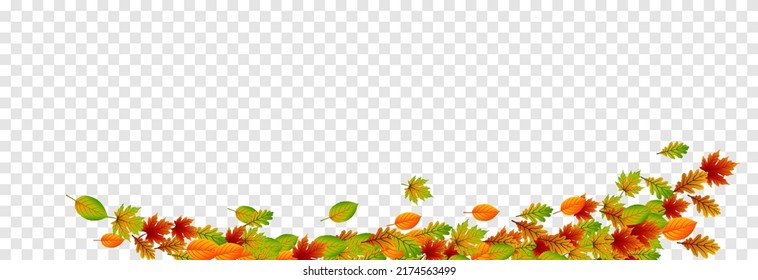 Vector leaves on isolated transparent background. The wind blows off the leaves, the wind blows. Autumn. Leaves png.