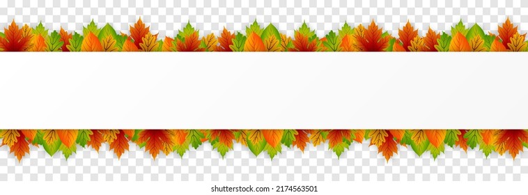 Vector leaves on an isolated transparent background. Autumn, leaves around the frame. Leaves frame. Leaves png.