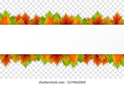 Vector leaves on an isolated transparent background. Autumn, leaves around the frame. Leaves frame. Leaves png.