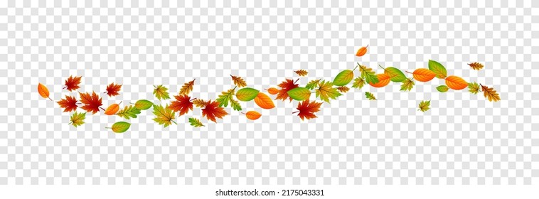 Vector leaves on isolated transparent background. The wind blows off the leaves, the wind blows. Autumn. Leaves png.