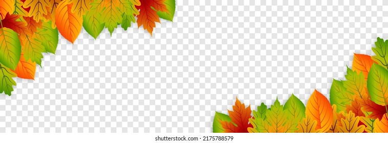 Vector Leaves On An Isolated Transparent Background. Autumn, Leaves Fall From The Trees. Leaves Frame. Leaves Png.