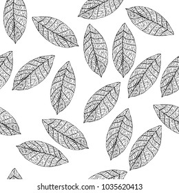 Vector leaves on white field. Uncolored botany illustration.