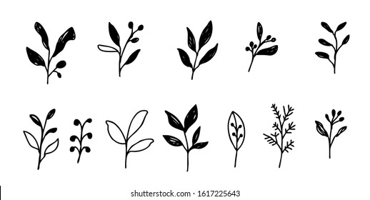 Vector leaves and plants for pattern or logo