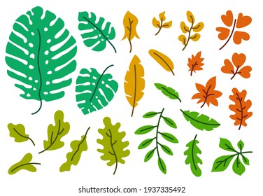 Hojas vectoriales fijadas. Ilustración del dibujo del doodle botánico. Esbozo dibujado a mano. Hoja de color de monstera exótica 