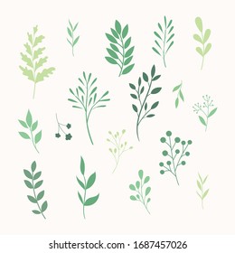 Vector leaves set. Botanical elements