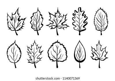 Vector leaves set. Collection of black leaf silhouettes. 