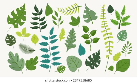 Vector leaves set - Collection of various leaf design graphics in different shades of green colour. Flat design on beige background