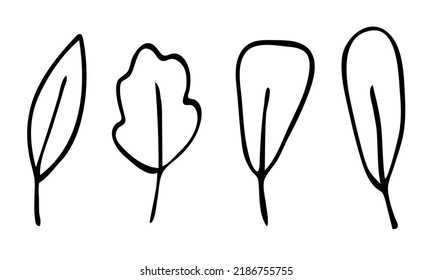 vector leaves set in doodle style.hand-drawn black and white outline illustration