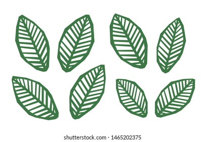 Vector Leaves Set Isolated on white Background