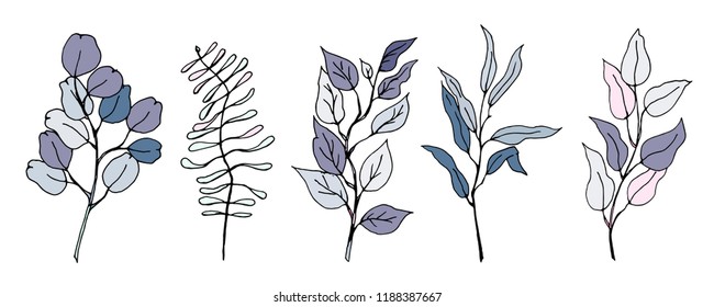 Vector leaves set on white background. Hand drawn illustration. Graphic, sketch. Gray and purple floral design.